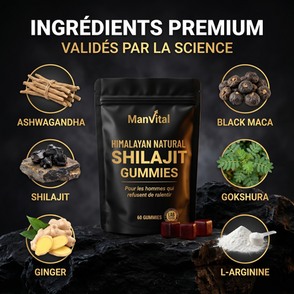 Shilajit Gummies